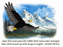 Wings as Eagles Quilled Card