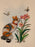 The Cat's Meow Quilled Card
